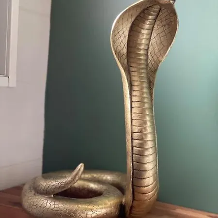 Coup De Coeur, Overger, Aux Portes De Toulouse Apartment *