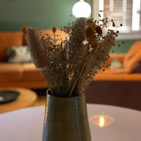 Apartment Coup De Coeur, Overger, Aux Portes De Toulouse