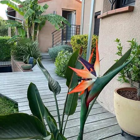Apartment Coup De Coeur, Overger, Aux Portes De Toulouse Belberaud