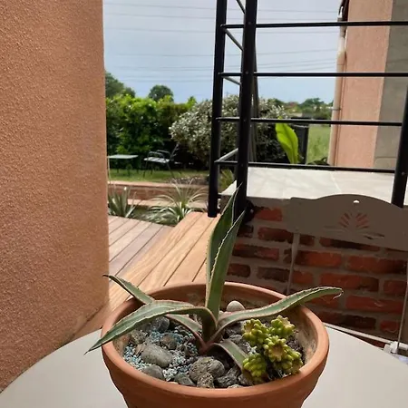 Coup De Coeur, Overger, Aux Portes De Toulouse *