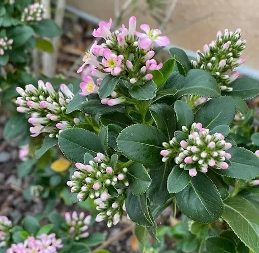 Lägenhet Coup De Coeur, Overger, Aux Portes De Toulouse *