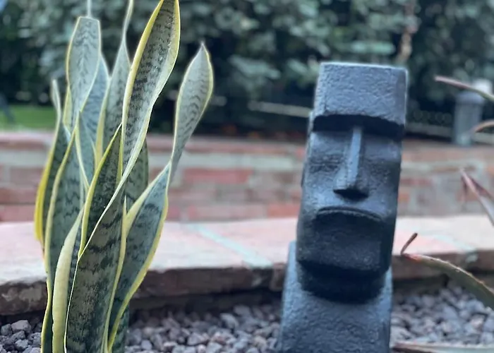 Coup De Coeur, Overger, Aux Portes De Toulouse * Belberaud