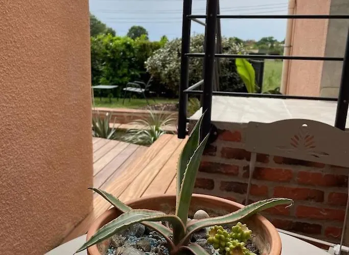 Coup De Coeur, Overger, Aux Portes De Toulouse *